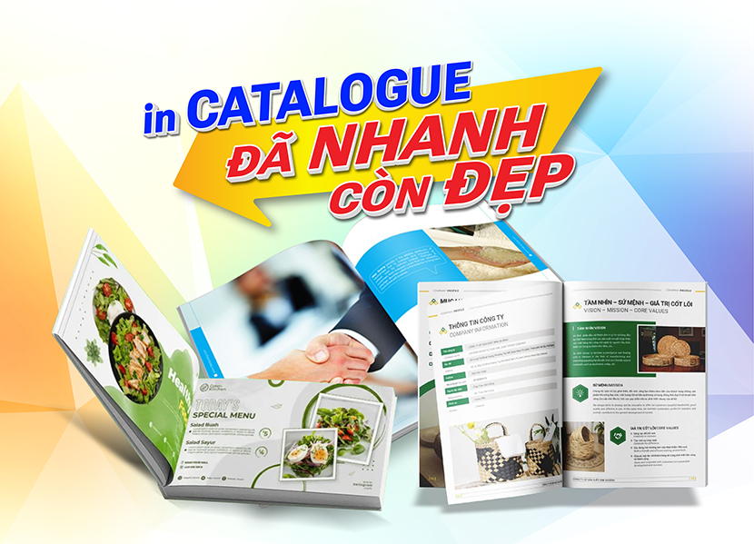 thiet-ke-catalogue