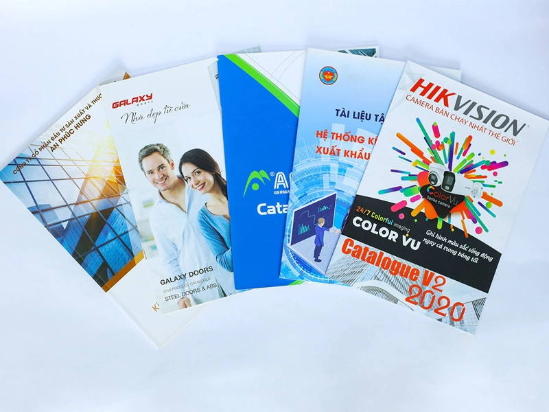 thiet-ke-in-an-catalogue